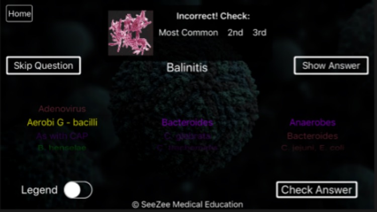 SeeZees Bad Bugs screenshot-4