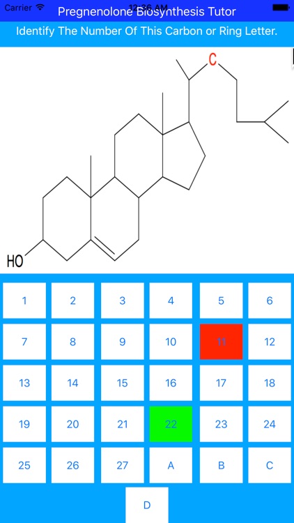Pregnenolone Synthesis Tutor screenshot-3