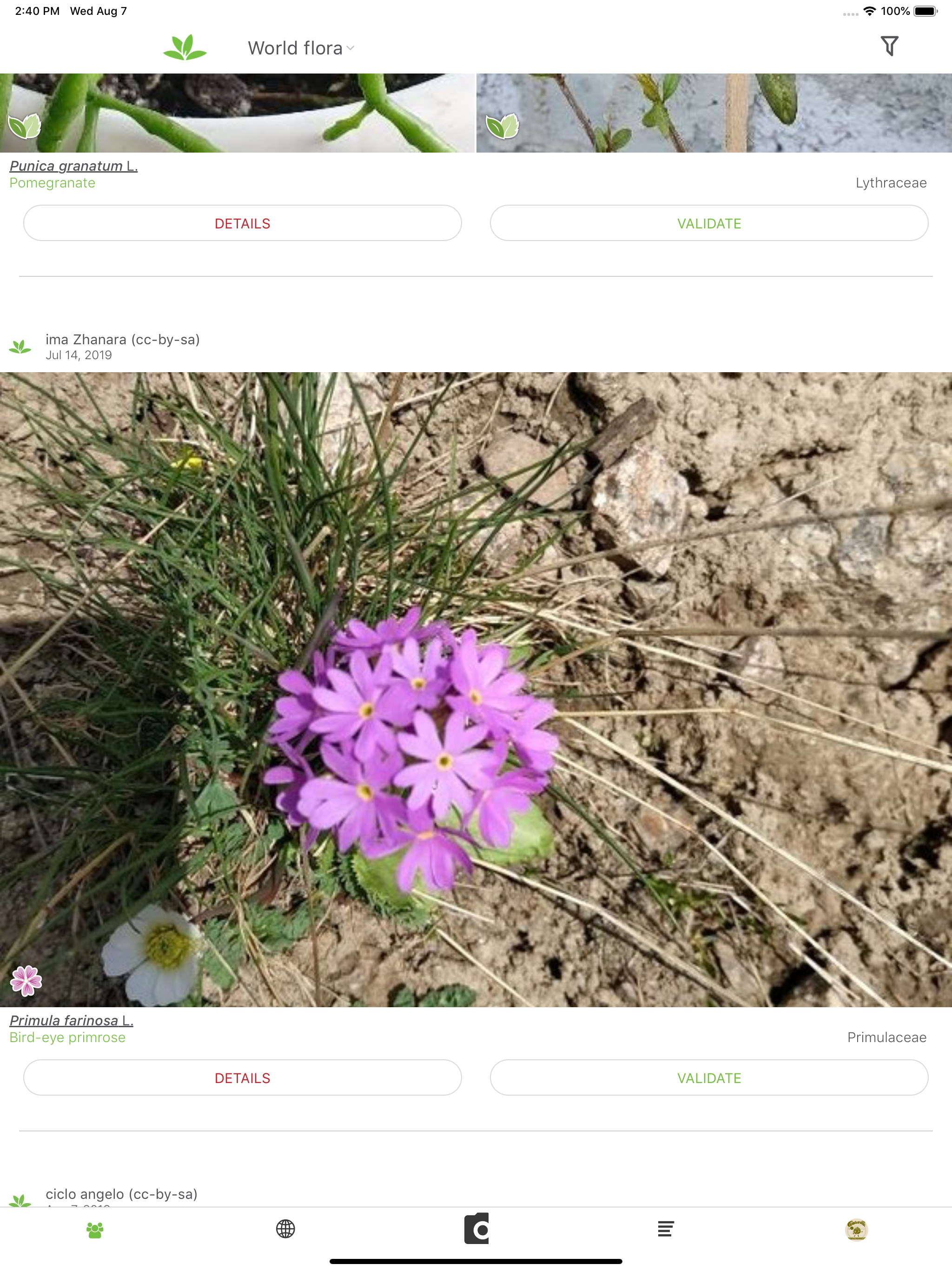 PlantNet