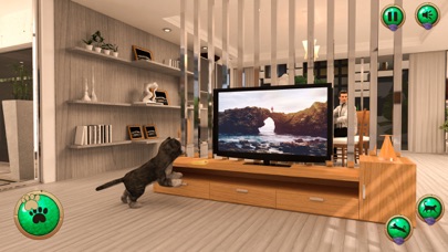 My Virtual Pet: Cat Simulator Screenshot