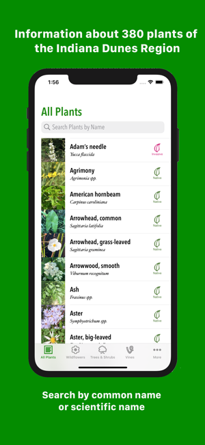 Dune Plants(圖1)-速報App