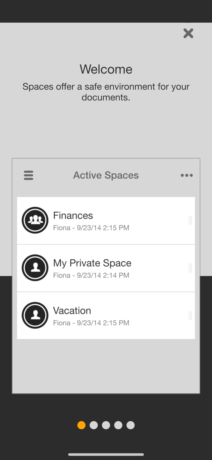 TeamDrive 5 screenshot 2