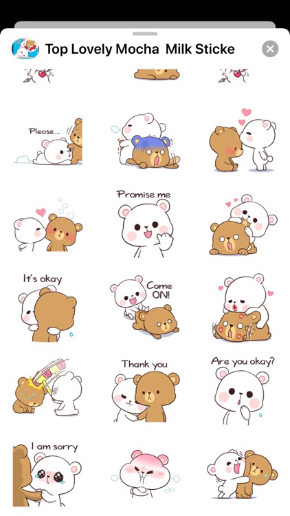 New Adorable Mocha & Milk HD