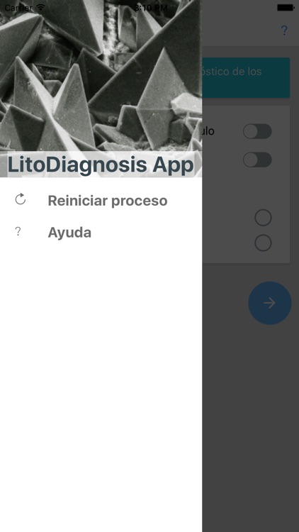 LitoDiagnostic screenshot-8