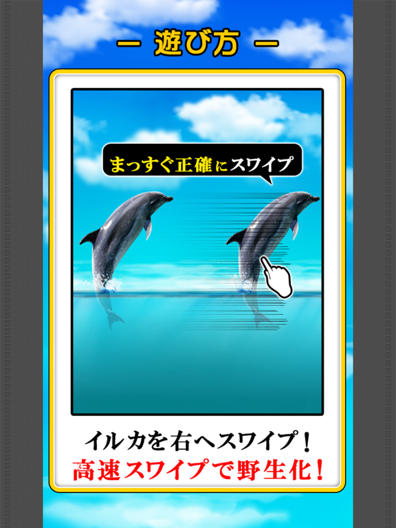 Can Dolphin Stand? iPad screenshot