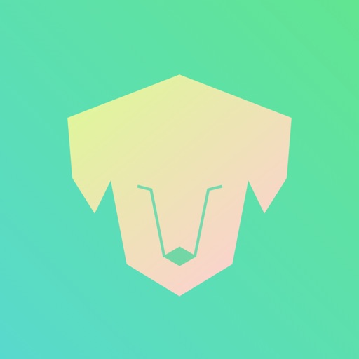 강아지 X 고양이