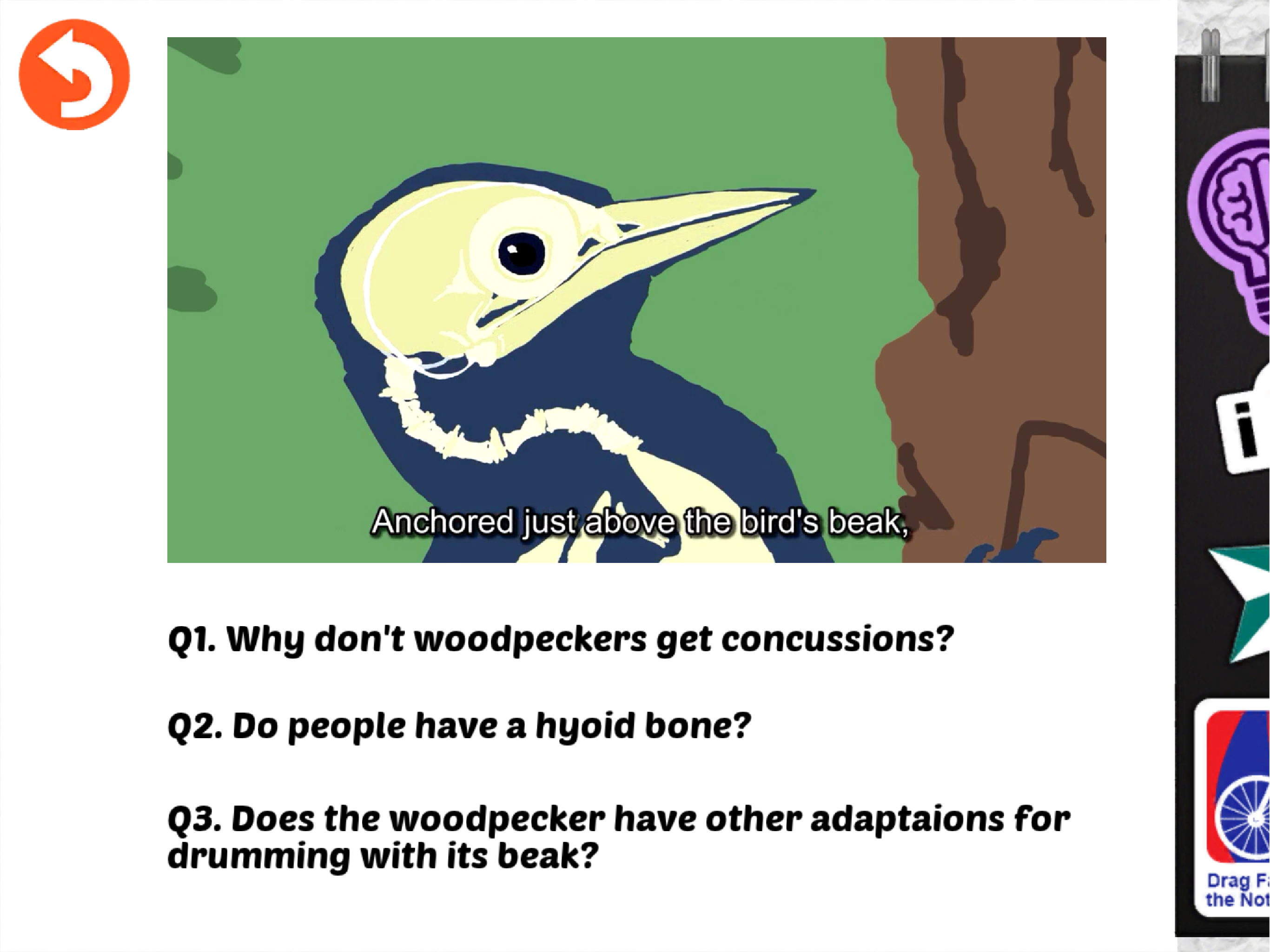 Rebound: Beating Concussions screenshot 6