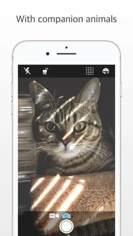 Game screenshot Q Camera! mod apk