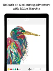 colouring adventures ipad resimleri 1
