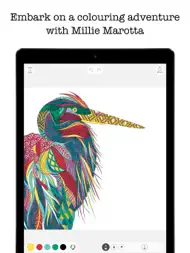 Colouring Adventures ipad bilder 0