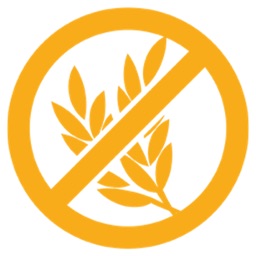 Ricette Senza Glutine