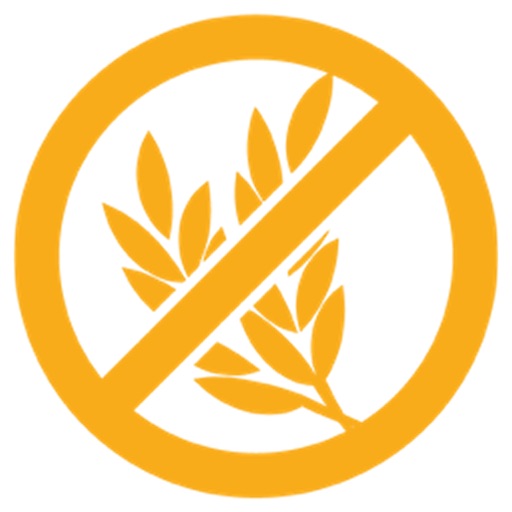 Ricette Senza Glutine