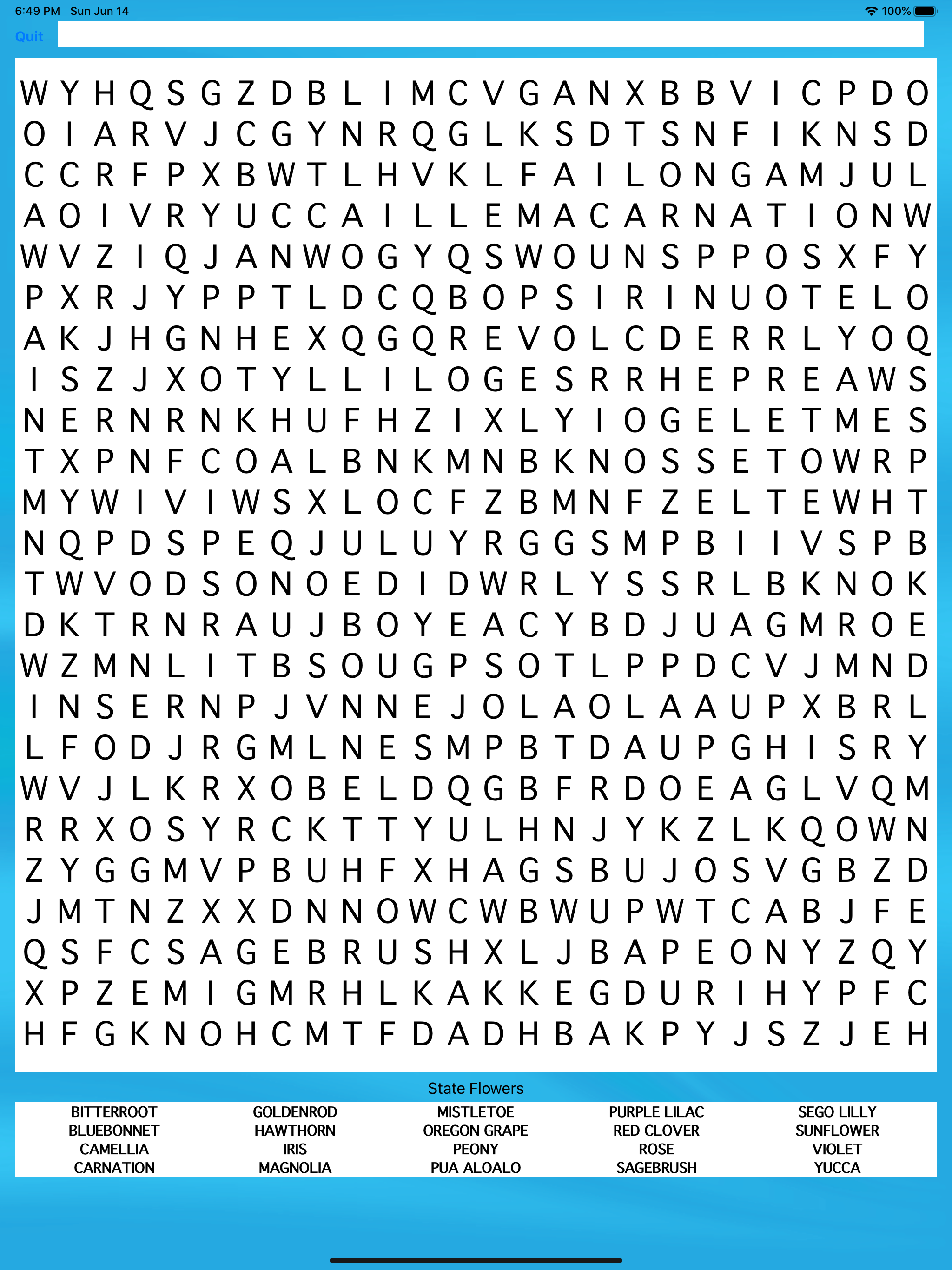 United States Word Search