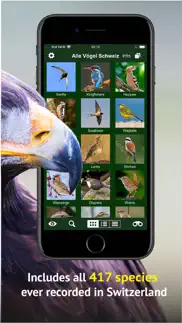 all birds ch - photo guide iphone images 3