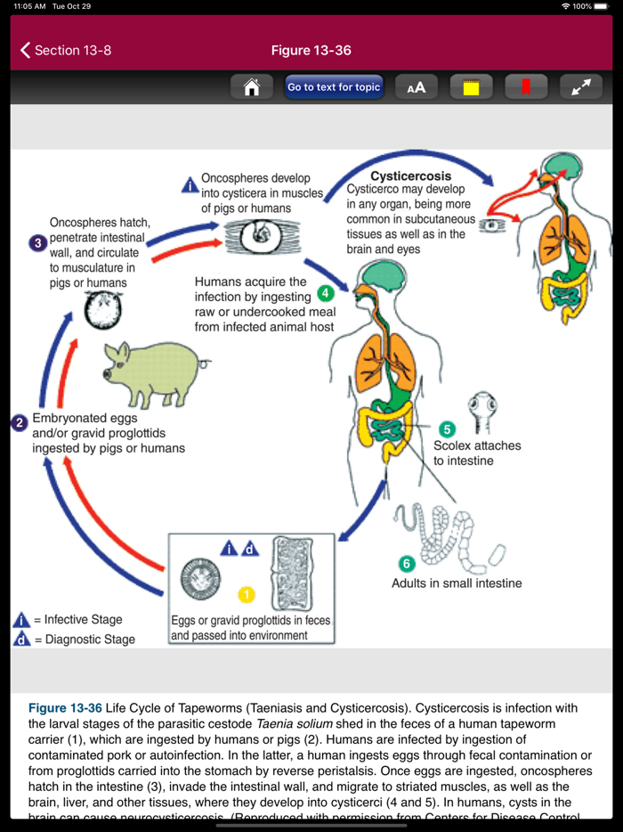 Atlas of Pediatric ER Med 3-E