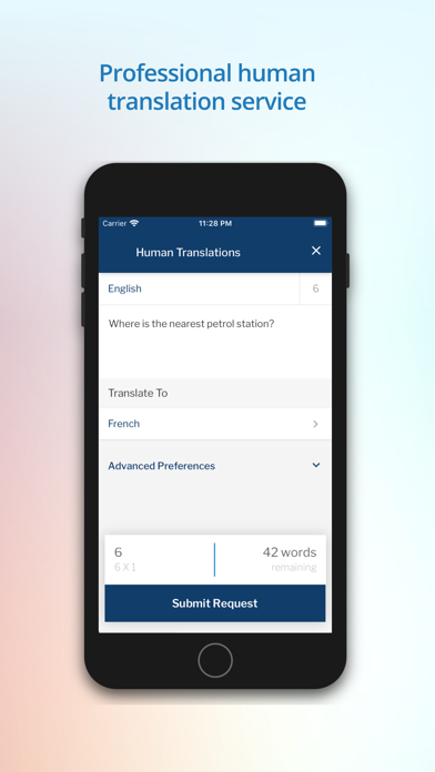 Translate.com Platinum Screenshot