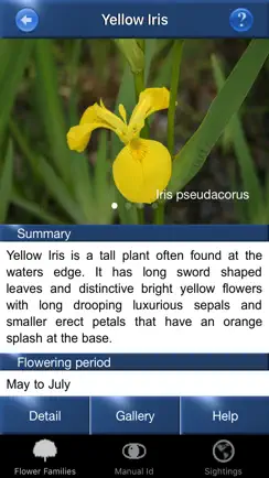 Wild Flower Id British Isles iPhone image 4