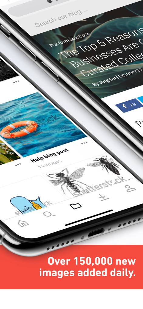 Shutterstock - Stock Photos - L'app mostra un flusso continuo di immagini, evidenziando l'aggiunta quotidiana di oltre 150.000 nuovi contenuti per mantenere la libreria sempre aggiornata.
