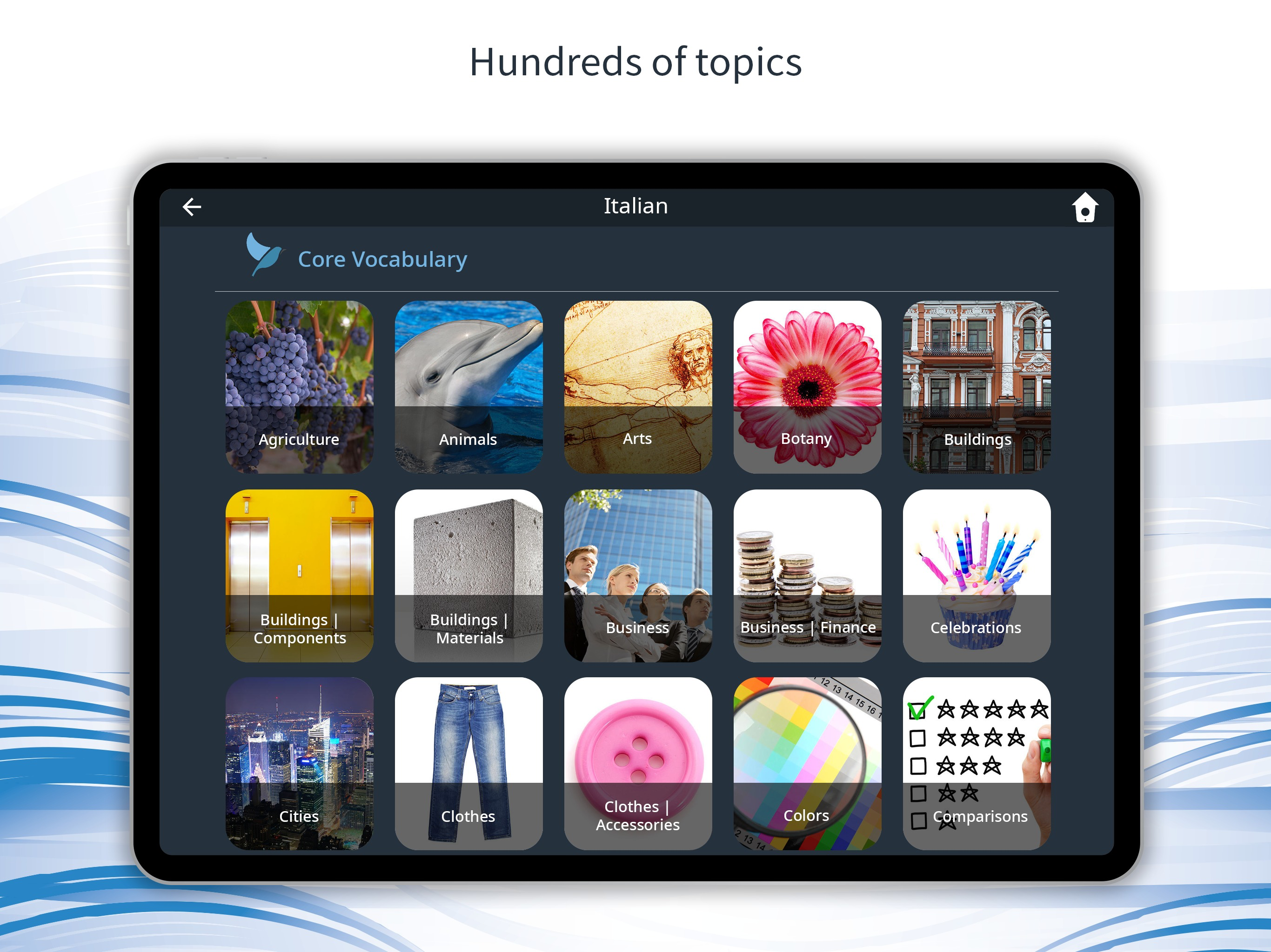 Bluebird: Learn 163 Languages