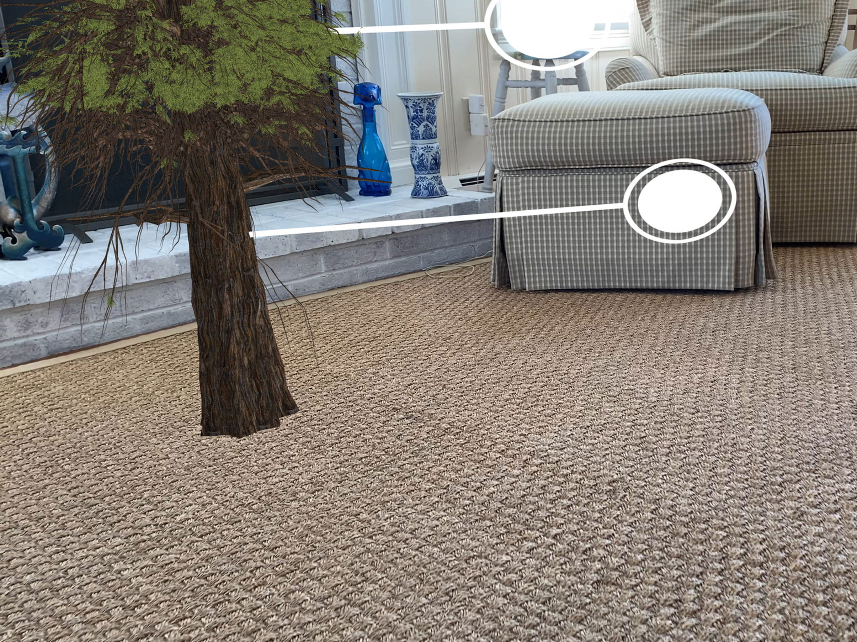 Coast Redwood Canopy screenshot 9