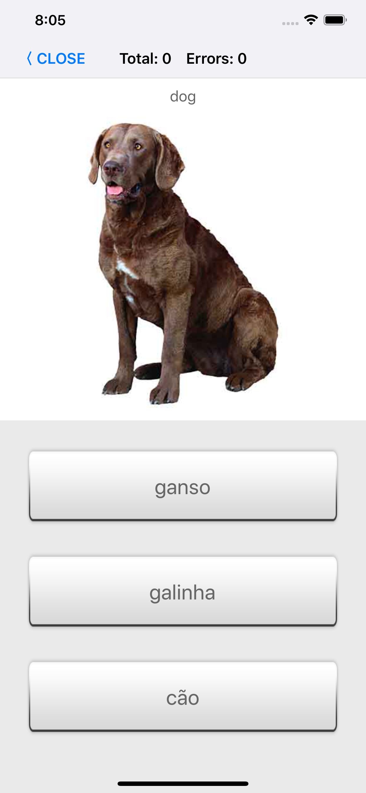 Learn Portuguese words with ST