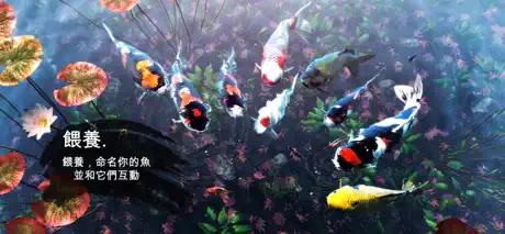 My Koi