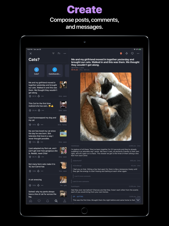 Screenshot #6 pour Comet for reddit