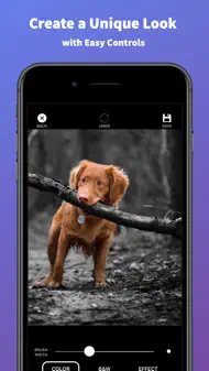 Splash of Color Pro iphone bilder 2