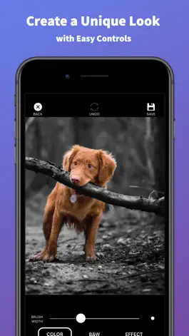 Game screenshot Splash of Color Pro hack