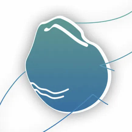 N95 Guide Читы