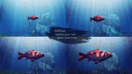 Game screenshot My Koi hack