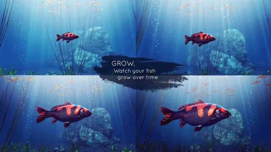 My Koi screenshot 3