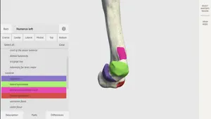 Dog Skeleton 3D Atlas screenshot 3