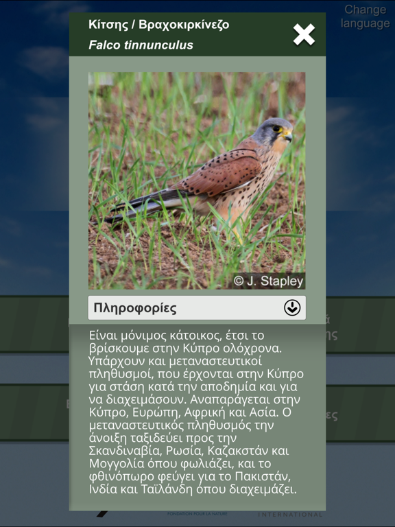 Screenshot #6 pour Feathered Journeys