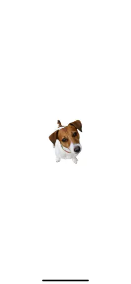Game screenshot Catch The Dog! mod apk