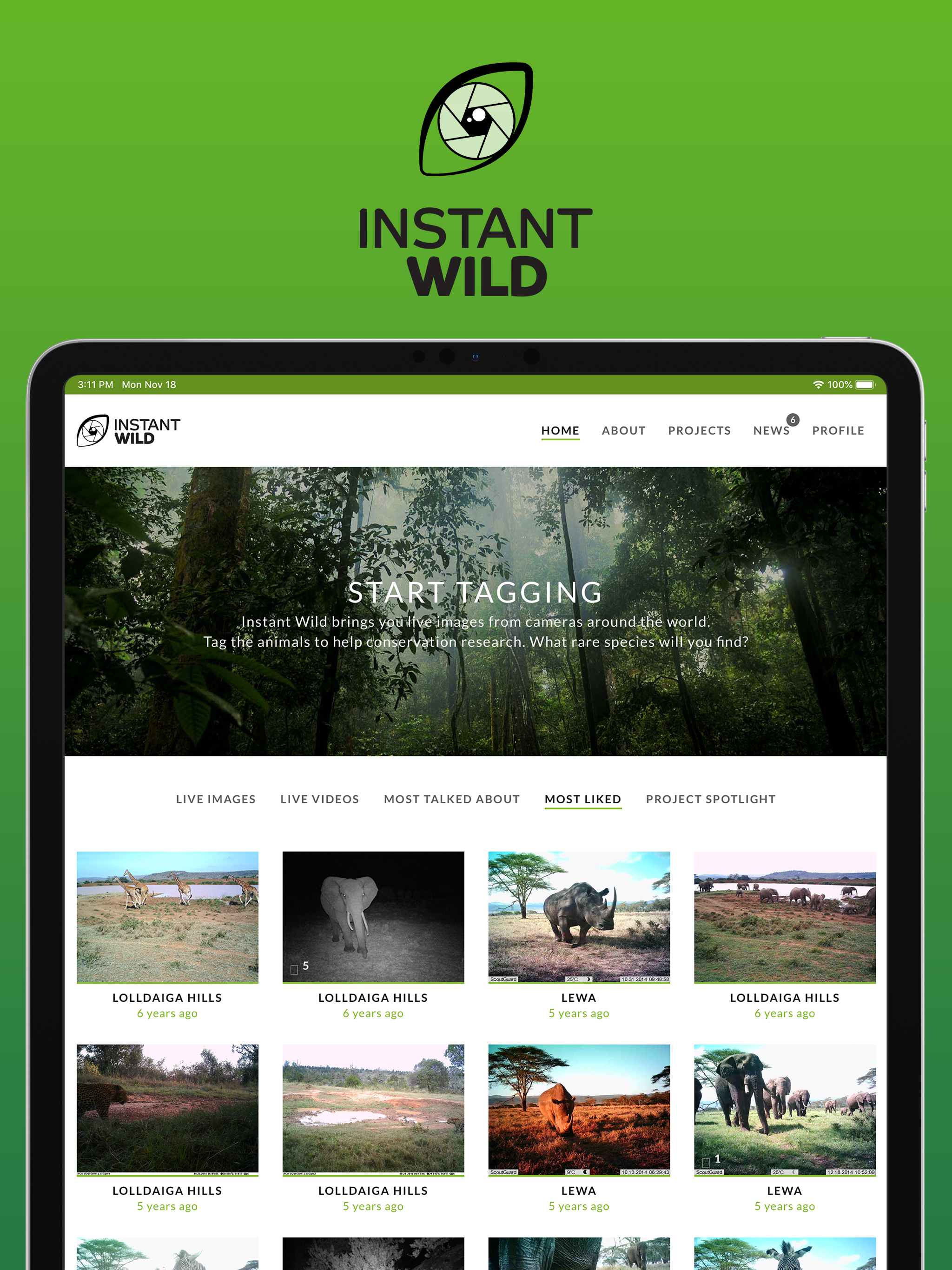 ZSL Instant Wild