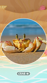 Marine Creatures Cards of Sea screenshot