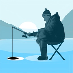 Ice fishing game.Catching carp