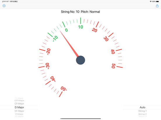 Guzheng Tuner iPad screenshot 1 - Music app