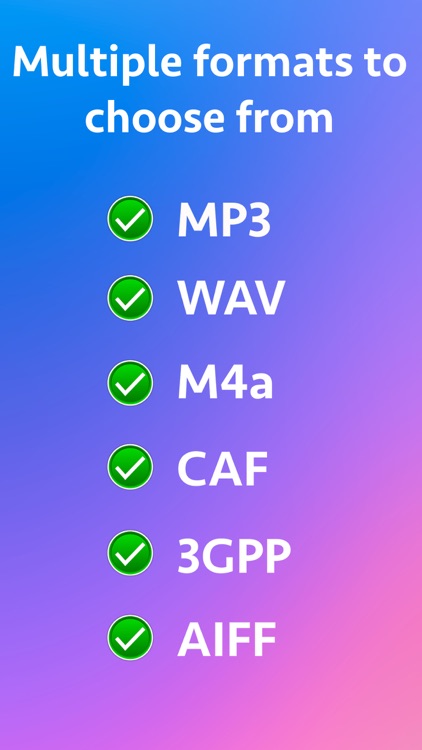 Audio Type Converter
