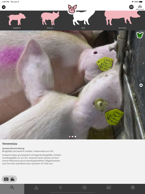 Screenshot #6 pour FitForPigs