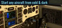 Game screenshot X-Plane Flight Simulator hack