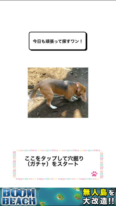 わんこ天気〜天気予報＆可愛い犬の写真〜のおすすめ画像2