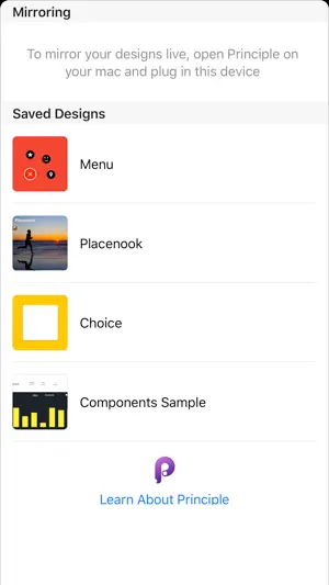 Principle Mirror screenshot 1