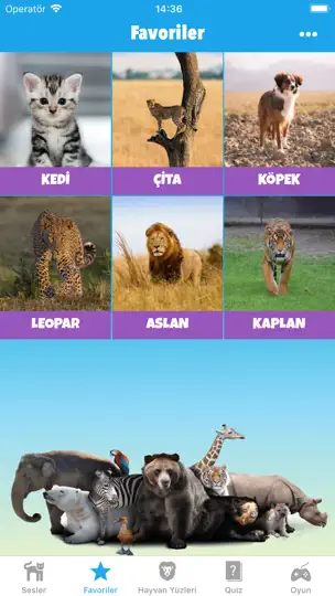 Hayvan Sesleri Oyunu iPhone Ekran Görüntüsü 4