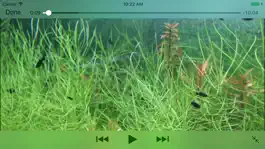 Game screenshot Aquarium Videos mod apk