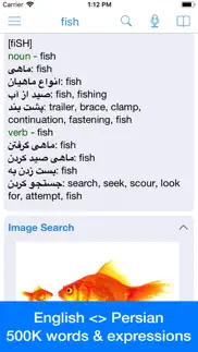 persian dictionary - dict box iphone screenshot 1