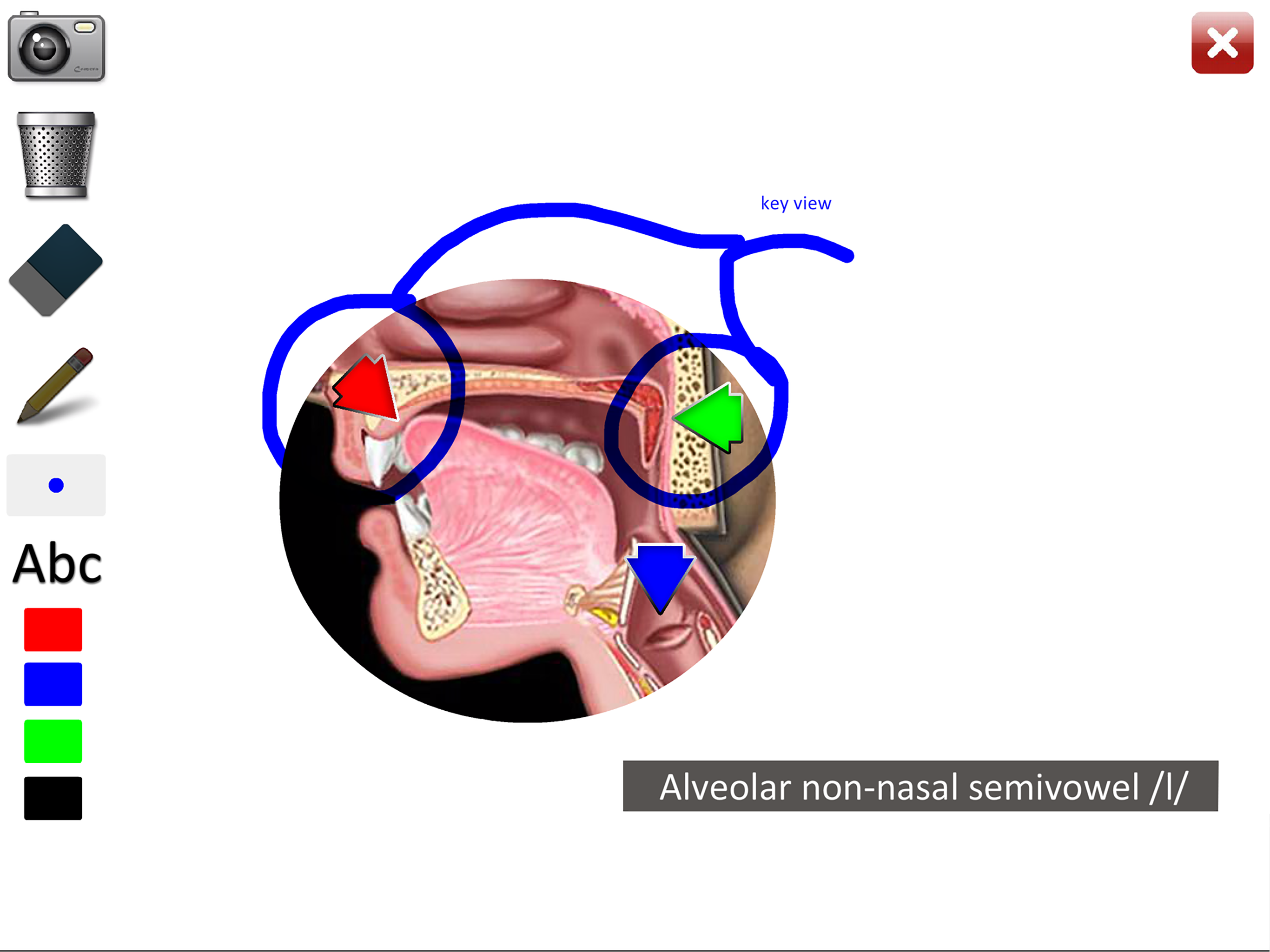 Semivowels screenshot 10