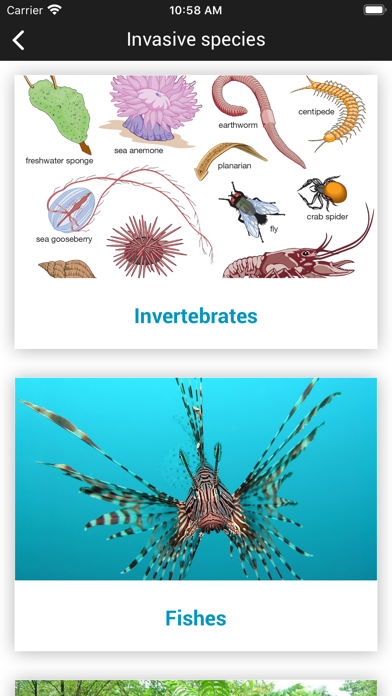 SEAWatcher Screenshot