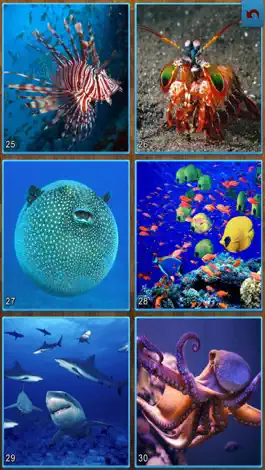 Game screenshot Sea life Jigsaw Puzzles -Titan apk